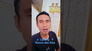 Download lagu Racun dan bisa lagu Leo waldy #lipsing #dangdut mp3 Download lagu Racun dan bisa lagu Leo waldy #lipsing #dangdut mp3
