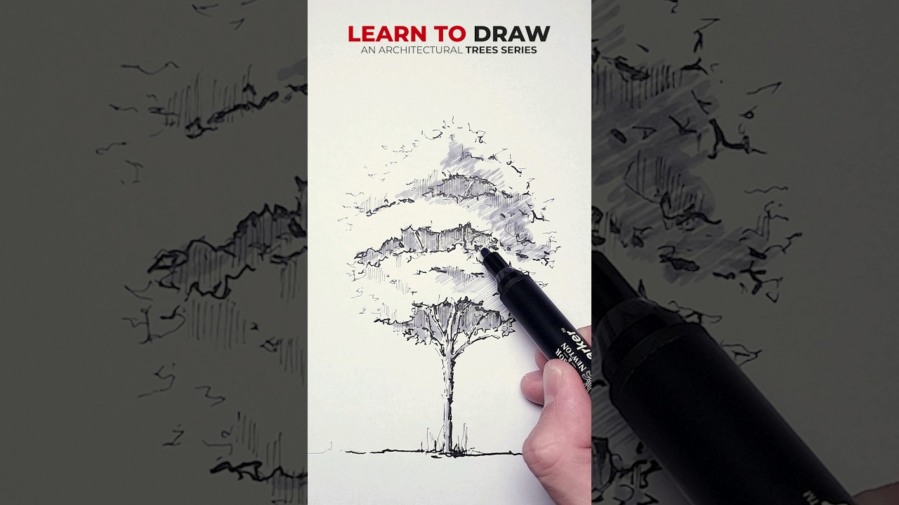 Drawing a Tree for Architecture #shorts #challenge #tips