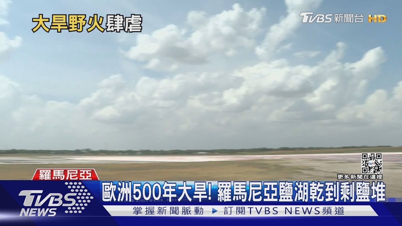歐洲500年大旱河床乾枯　狐狸闖小島吃光野鳥