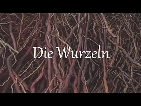 Parabel von Ajahn Chah