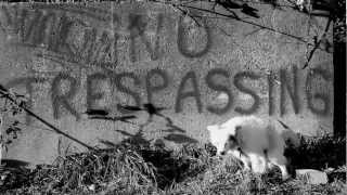 Fever Damn-Mia [Official Music Video]