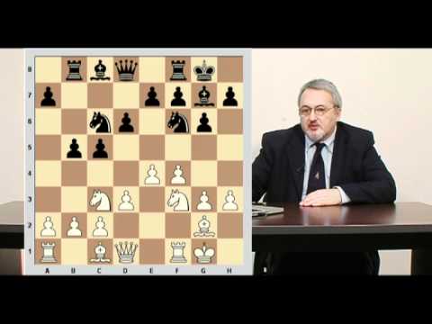 Chess Video School Vol. 29