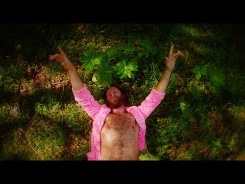 David Borné - I Like The Idea (Official Music Video)