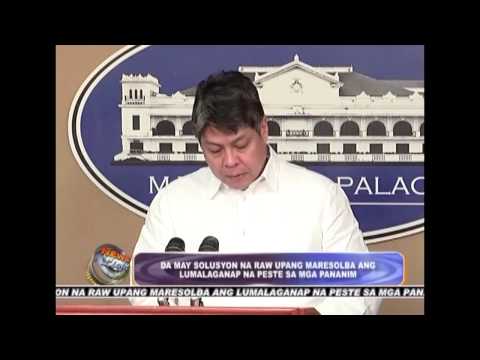 Magsanay para sa tiyan slimming thighs Video Marital pagbaba ng timbang na may Anita Tsoi sa bahay