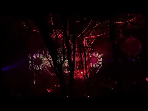 Modem Festival 2019 Insane Creatures (part 1)