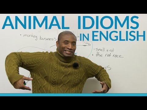 教你動物俚語 (Animal idioms and expressions in English)