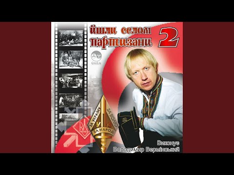 Гей, соколи