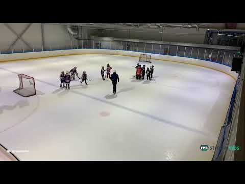 Hippoliiga (U9) 7.11.2020  E-joukkue