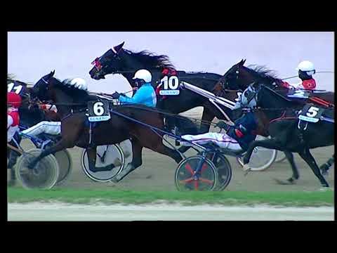 Napoli Trotto 05/11/2021 - 4ª corsa