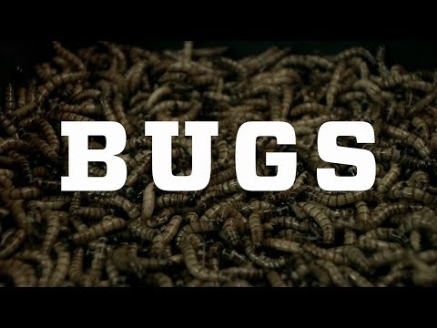 Thumbnail for video: Bugs – Official Trailer Thumbnail for video: Bugs – Official Trailer