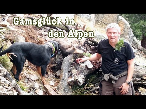 Bergjagd - Auf Gams und Hirsch in den Alpen