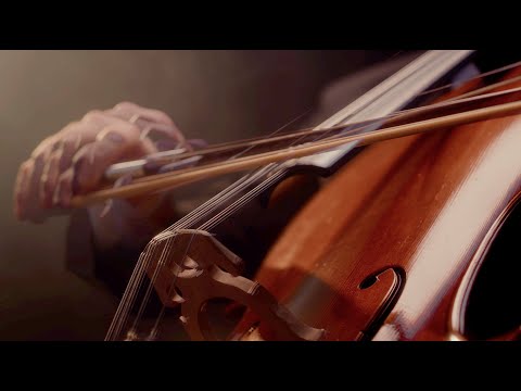 Free Download Archetypes KONTAKT