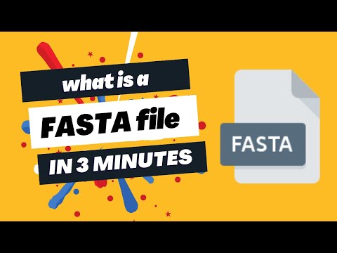 What is a FASTA file?