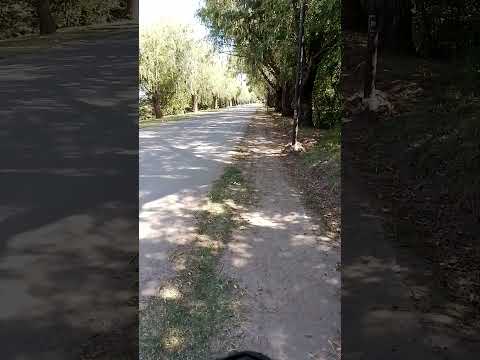 Honda cb 300. Carmen de Areco. #hondacb300 #pueblosdebuenosaires #viajarenmoto