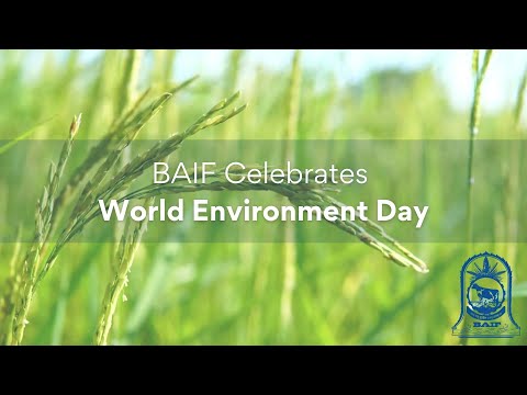 BAIF | World Environment Day | 2023