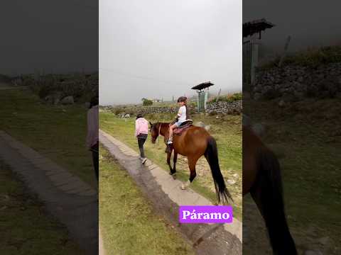 Páramo de la Culata Mérida Venezuela #turismo