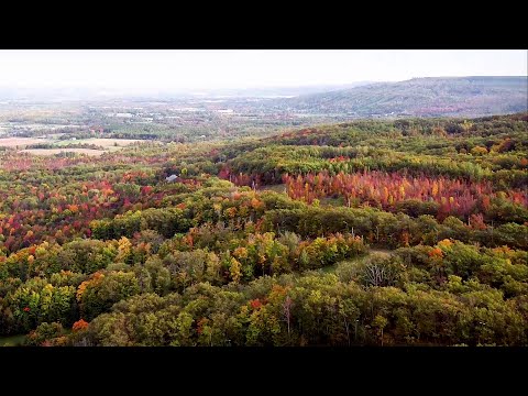 OUR ROAD TRIP WITH NATURE