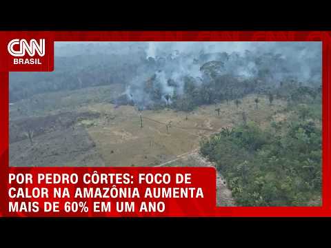 Análise: Foco de calor na Amazônia aumenta mais de 60% em um ano | LIVE CNN