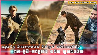 දරුවන්ගේ ජීවිත වෙනුවෙන් පෙරමුණ ගත් සුනඛයා | Togo Movie Sinhala Recap | Sinhala Movie Recap