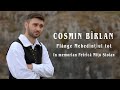 Cosmin Birlan Plange Mehedintiul Tot In Memoriam Petrica Mîtu Stoian
