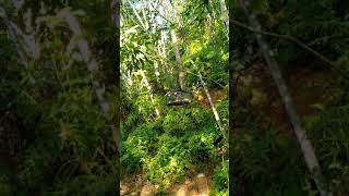 Download lagu Merbah Lekir is awesome👍😍 mp3 Download lagu Merbah Lekir is awesome👍😍 mp3