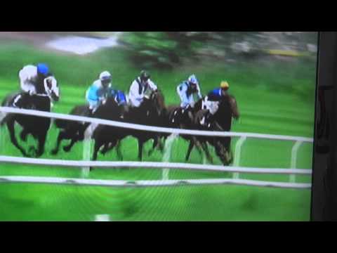 GALOPPSPELAREN - The Black Balsam vinner på Klampenborg Galopbane 2012-05-26