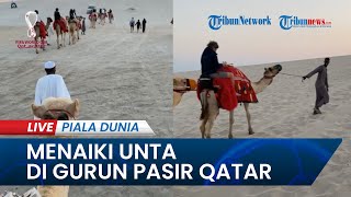 PIALA DUNIA 2022: Menaiki Unta di Gurun Pasir Qatar