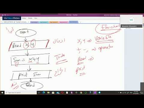 Programming Essentials In Python Lecture 1