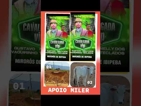 CAVALGADA VIP EM MIRORÓS DE IBIPEBA BAHIA DIA O6 DE DEZEMBRO