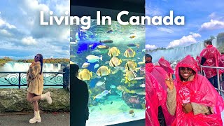 Living In Canada #4 2024 Ins And Outs | Niagara Falls | I broke my camera lens | Ripley’s Aquarium