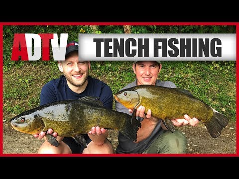 How To Catch Tench - Tench Fishing Tips