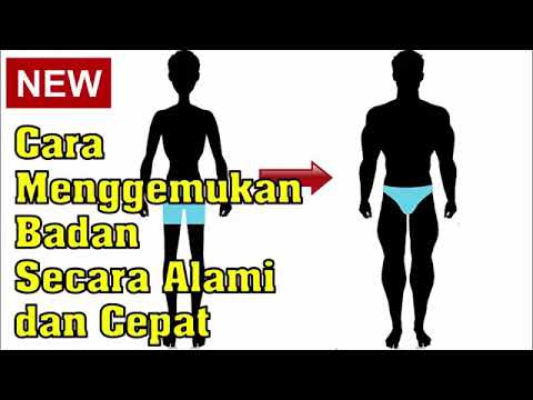 Cara Cepat Gemuk Bagi Perokok, artikel Cara Cepat Gemuk Bagi Perokok gratis, video trending Cara Cepat Gemuk Bagi Perokok