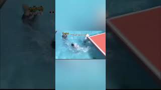 Download lagu (part-1)Most talented female idol in k-pop history #kpopshorts #krystaljung mp3