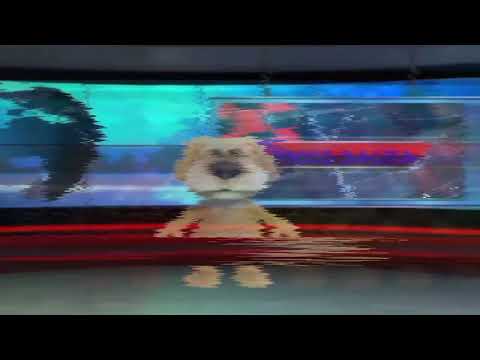 LBC EXPRESS BALITA FINAL CBB 08/08/08