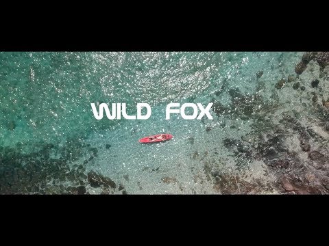 Wild Fox - Coffee In The Morning (Music Video)