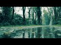 Monta Re Song Status Whatsapp Status Monta Re Song Whatsapp Status Monta Re Status Trending Status