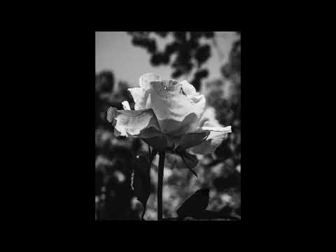 [FREE] drippin so pretty x fats'e type beat | "port"