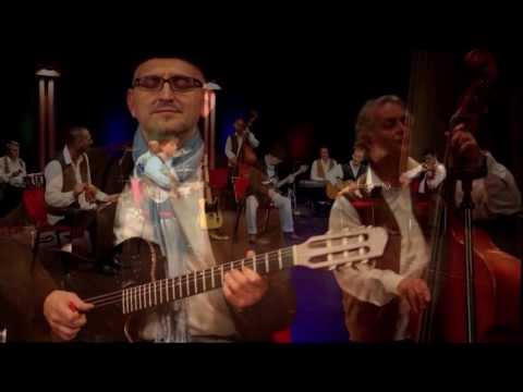 Vladan Vuckovic Paja - Kafu mi, draga, ispeci - (Official Video 2014) HD
