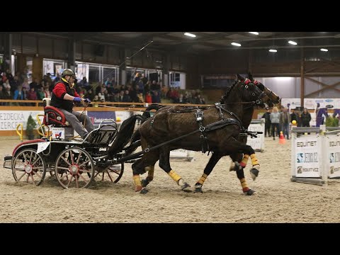 ŽIVĚ 🔴 | spřežení Královice – sobota 19. 3. 2022, Zimní jezdecký pohár (finále)