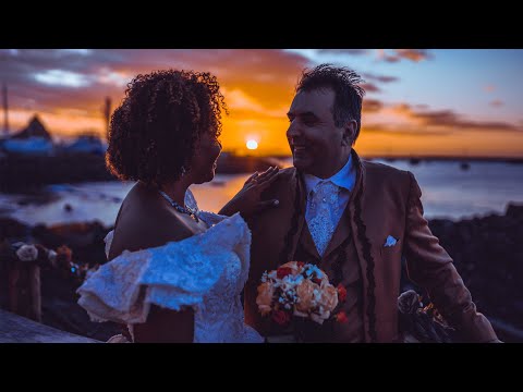Kiwi Eyes video.
