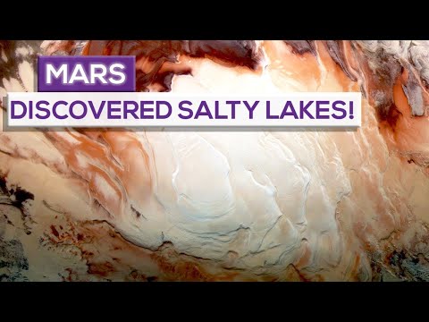 New Space Race Who Will Be The First To Reach Mars