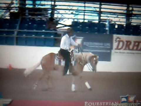 Dan L Huss/ Heza One Step Ahead