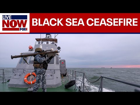 Video | Russia, Ukraine agree to Black Sea ceasefire after US talks | LiveNOW from FOX