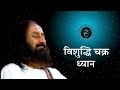 विशुद्धि चक्र ध्यान Chakra Meditation I गुरुदेव श�