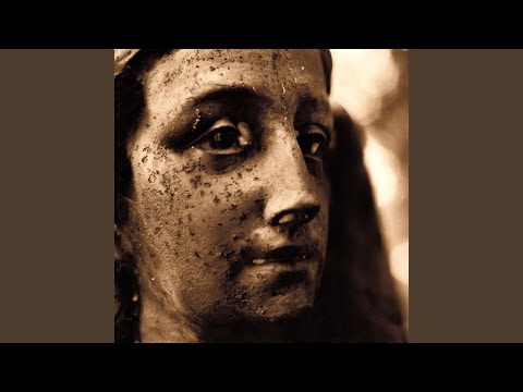 Sleep With Dried Up Tears - Elizabeth Anka Vajagic