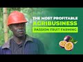 Agribusiness Electrical Engineer Turned To Passion Fruit Farming To Boost Income