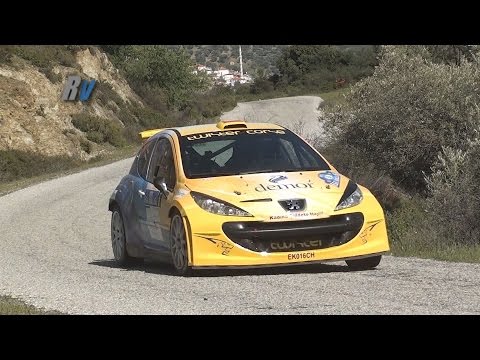 2015 Ege Rallisi / Ahmet Burkay - Bilge Ayan / Peugeot 207 S2000