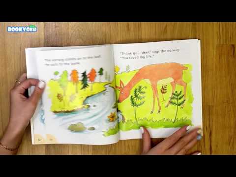 Видео обзор The Deer and the Earwig