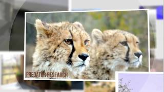 Conservation Contribution of Ukutula and UCC & Biobank 