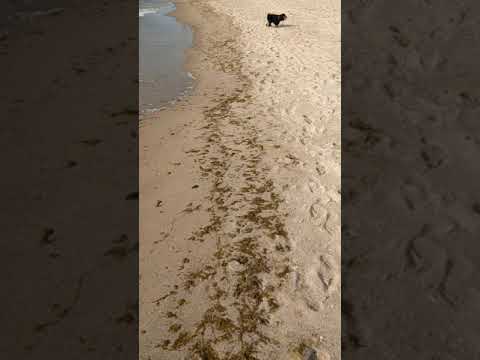 Bobolin, Bałtyk, plaża, lipiec 2021